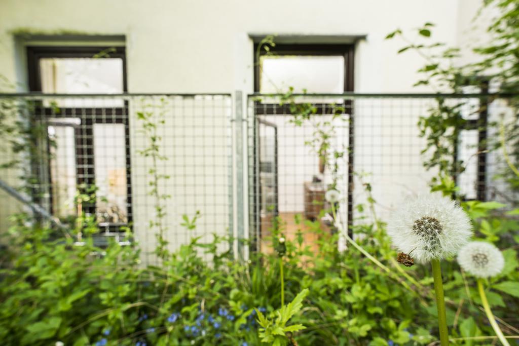 Chillout Lounge Satzberg Apartment Wina Bagian luar foto